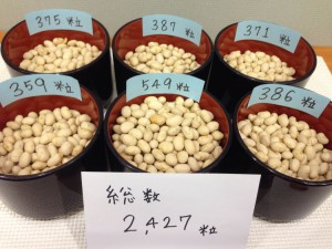 160204豆豆-6