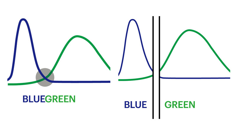 光の波長をコントロール たとえば青と緑の2色の波長が交わる曖昧な色をカット。見えづらい色をなくすことで自然で鮮やかな視界を確保する