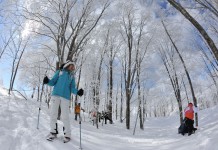 2月18日(土)「2017白馬スノーシューウォーク」参加者募集