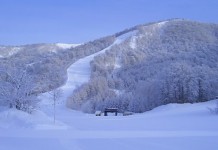 尾瀬岩鞍プレミアムファーストトラック!