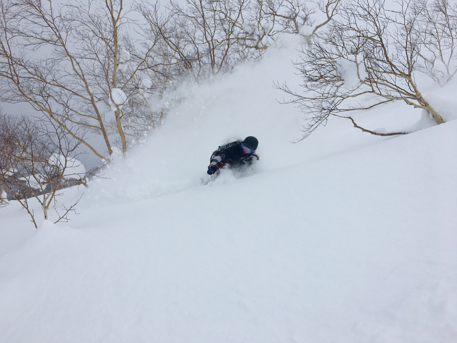 自分の体の何倍もの雪煙を上げることができるのは雪が軽い証拠。上田ユキエ