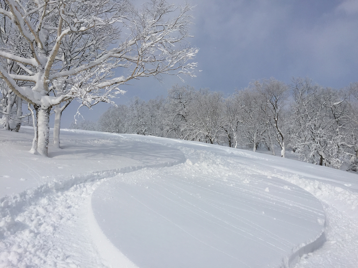 これを見てもらえば名寄の極上な雪質が伝わるだろう