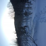 IMG_3608