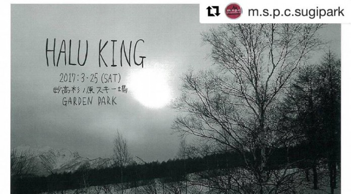 スギノハラ LAST WEEK はお祭り!