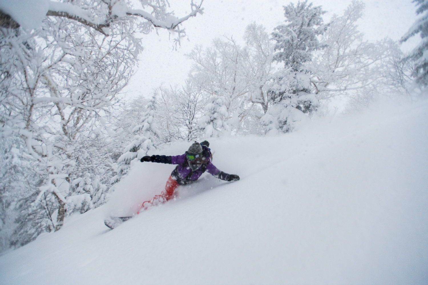 Mari Mizukami makes a deep turn in deep snow Photo: Takahiro Nakanishi