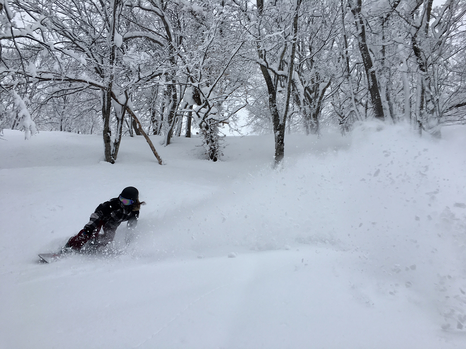 One piece taken by Hayato!If the space between trees that can make such a turn is widening in front of you, you won't want to stop.