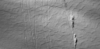 Enjoy The Ride〜最新型Duprazの魅力に迫る