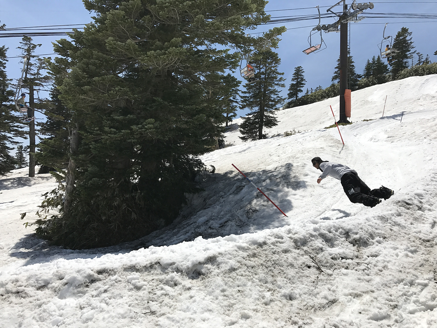 Shin Miyajima Snowboarding Division