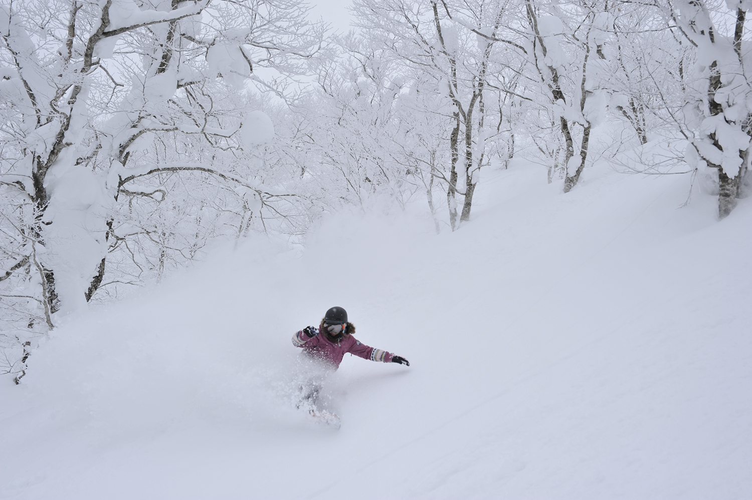 ダミー　Yukie Ueda　Photo: Haruo Abe