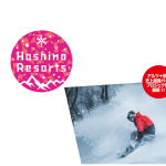 HOSHINO03-01