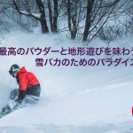 nekoma2