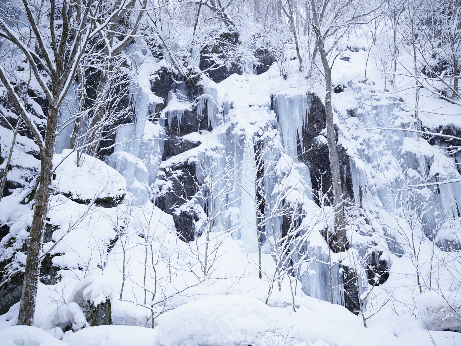 ▲ Winter Oirase Gorge Guided Tour Course: Hotel-Kumoi no Taki / Drop-off location: Sanran no Taki, Makado Rock, Kumoi no Taki / Apply to the activity desk by 20:00 the day before.