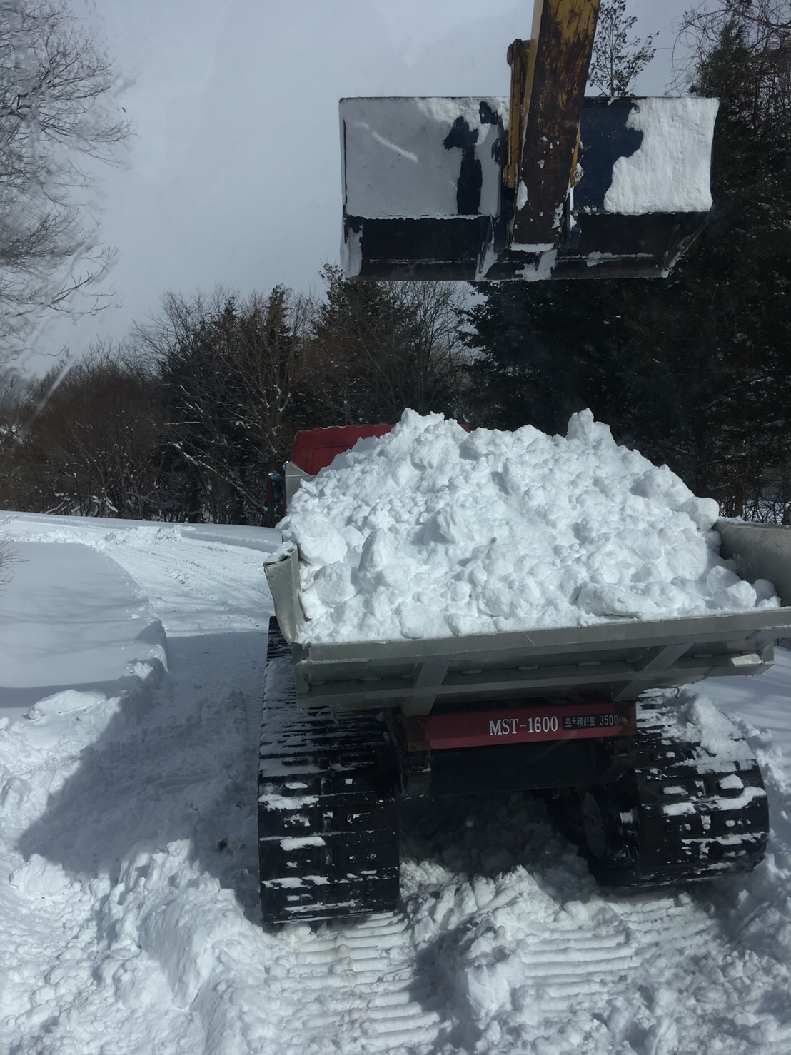 【アルツ磐梯】雪集めの様子