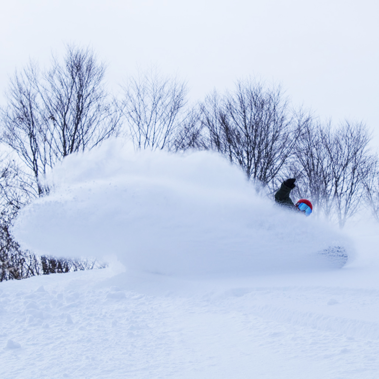 "First track" where you can taste the finest powder faster than anyone else.Such a spray is not a dream!