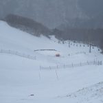 DSCF9336