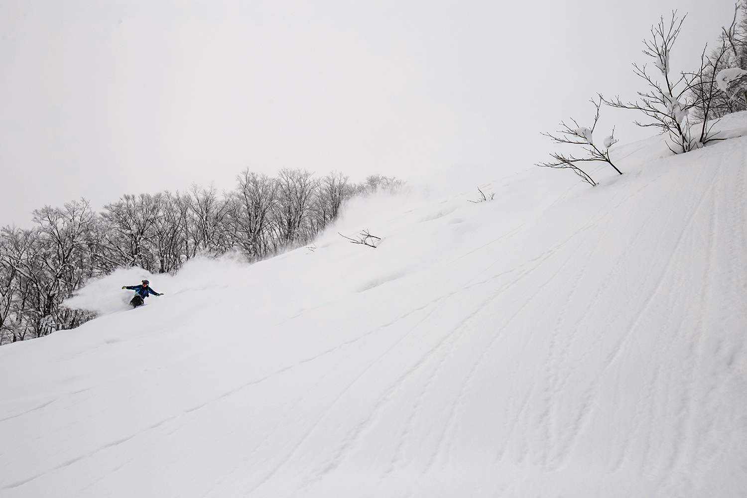 星野リゾート アルツ磐梯＆猫魔スキー場をお得に滑るマイカープラン