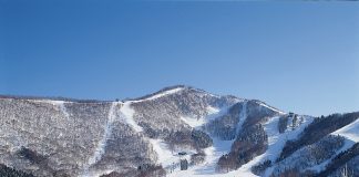タングラムスキーサーカス、最高の雪質でのツリーランを狙え