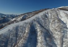 最高の雪でツリーランの楽しさを満喫す〜 夏油高原スキー場の魅力を探る