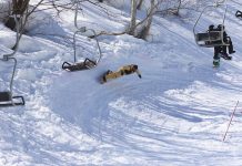 「カモシカレース Vol.4」in 藤原スキー場 レポ!