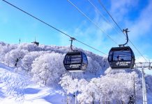 野沢温泉スキー場 2021-2022早割シーズン券販売決定!!