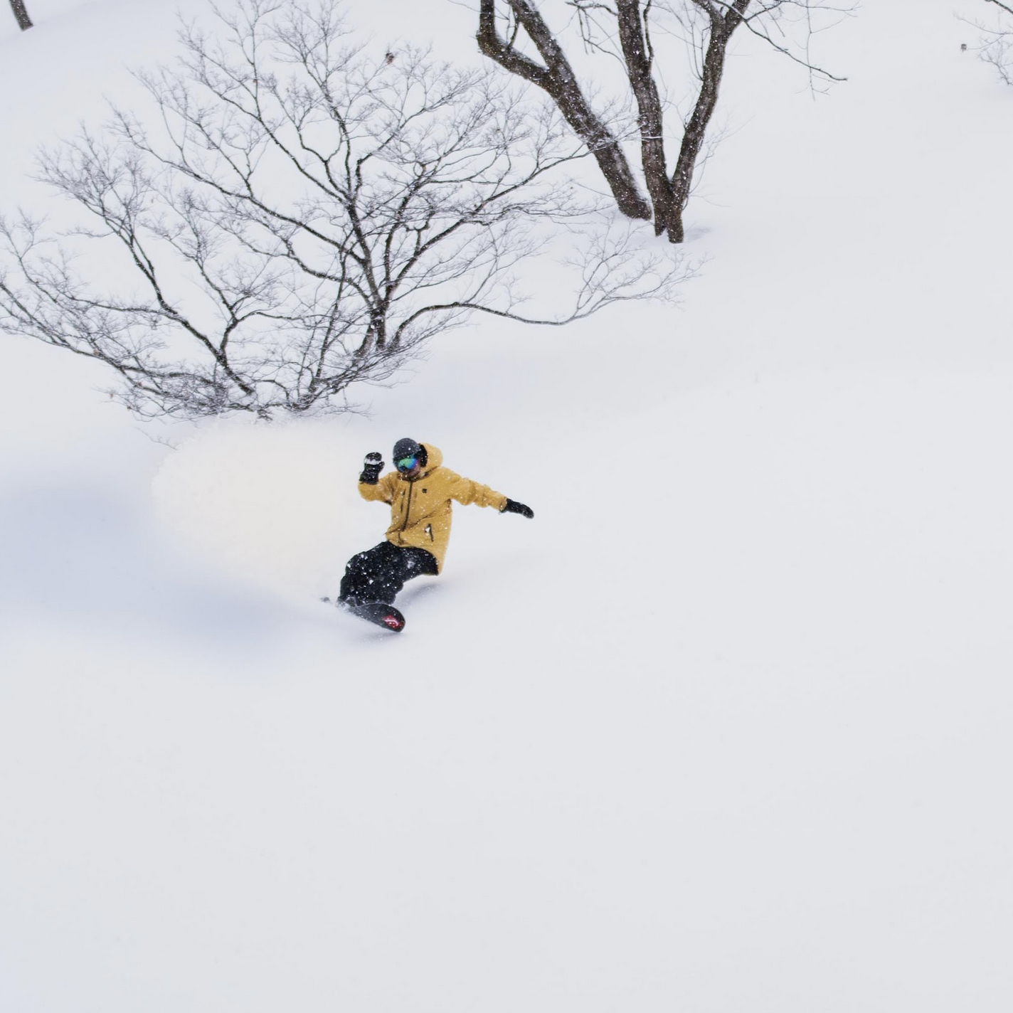 21-22 Newモデル】日本の雪山を思う存分に楽しめるジャパンリミテッド 