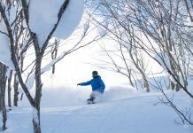 今シーズンは「ツリーランの聖地」夏油高原スキー場で 、フリーライディングのスキルアップを目指そう!!