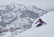 新しくツリーランエリアがオープン!進化した石打丸山スキー場をローカル・佐藤亜耶がナビゲート。