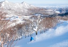 「よりわかりやすくゲレンデ情報を伝えたい」夏油高原スキー場の目指すもの