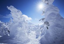 「星野リゾート 奥入瀬渓流ホテル」を拠点に八甲田のバックカントリーを満喫!