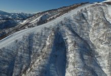 いよいよ夏油高原スキー場の「Grow up treerun」全13エリアがフルオープン!!