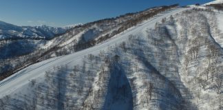 いよいよ夏油高原スキー場の「Grow up treerun」全13エリアがフルオープン!!