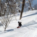 20220124-Free-Run-DSC07677-92