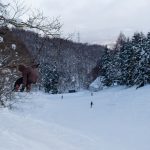 20220124-Free-Run-DSC07942-175