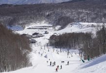 春猫魔!! 営業時間前倒し。なんと土日祝日は5:55から、朝一番のコンディションを満喫!!