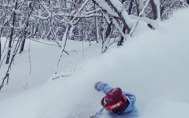 宝台樹パウダーラン✨