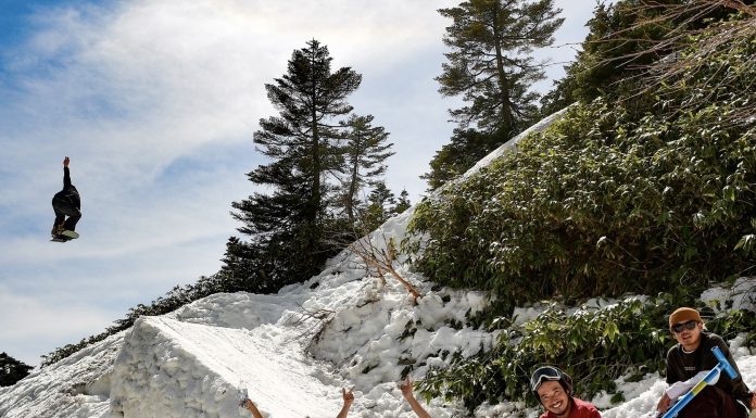 シーズンアウト