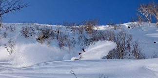 世界で初めてハニカムコアを採用したスノーボードブランド「FANATIC」