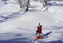 北海道・イワオヌプリバックカントリー with 登⼭⽝ヌーピー隊員