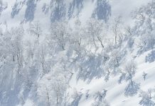 星野リゾート トマムで、バックカントリーを滑るために最低限必要なスキルを身につける