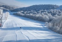 全部屋14時チェックアウト!スノーボーダーファーストなホテルとは!?【星野リゾート ネコマ マウンテン】