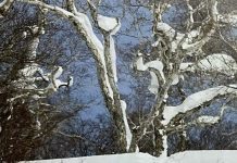 ヌーピーBC隊員と海外雑誌THE SNOWBORDER`S JOURNALに掲載されました(^_^)By Takahiro Nakanishi