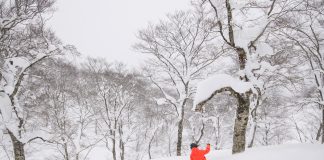 極上パウダーのもとでフリーランのスキルアップを実現!! 「夏油高原スキー場」_読者特別価格でリフト券購入可能!!