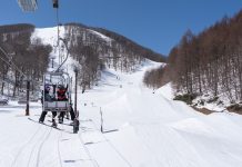 3月25日より、春ネコマの早朝営業がいよいよスタート!!_星野リゾート ネコマ マウンテン