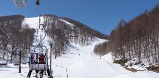 3月25日より、春ネコマの早朝営業がいよいよスタート!!_星野リゾート ネコマ マウンテン