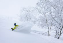 限定200枚発売! 極上パウダーをとことん楽しむためのシーズンパス「北海道パウダーベルトパス」8月25日(日)申込受付スタート