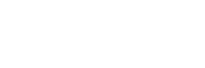 ROME SNOWBOARDS LOGO