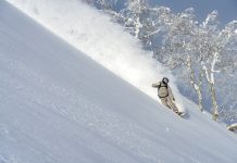 ゲレンデを独占『贅沢トマムパウダースノー旅』2025