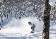 「GROW UP TREERUN」でツリーランのスキルアップを目指そう | 夏油高原スキー場