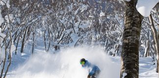 「GROW UP TREERUN」でツリーランのスキルアップを目指そう | 夏油高原スキー場