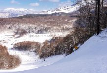 春だ、パークだ、バンクドだ!! ネコマ マウンテンの春を楽しみ尽くそう!!